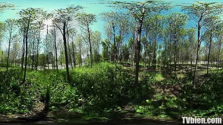 Stras en360